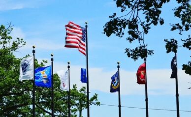 Veterans Day